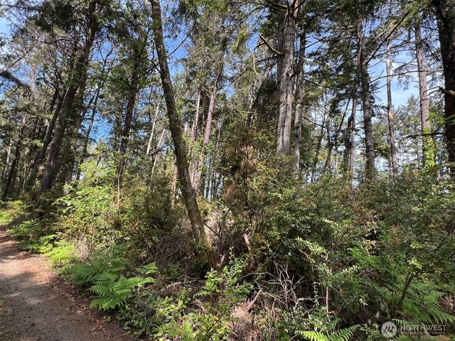 1101 Lot E 231st Lane, Ocean Park, WA 98640