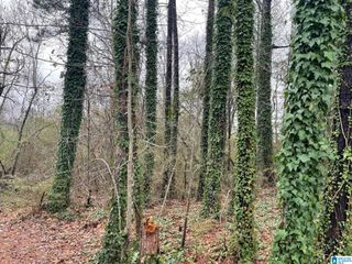 831 HIGHWAY 54, Montevallo, AL 35115