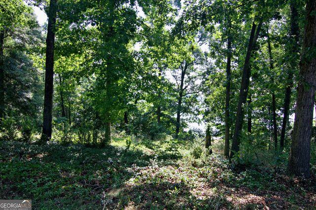 108 Windy Point N, Townville, SC 29689