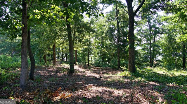 108 Windy Point N, Townville, SC 29689