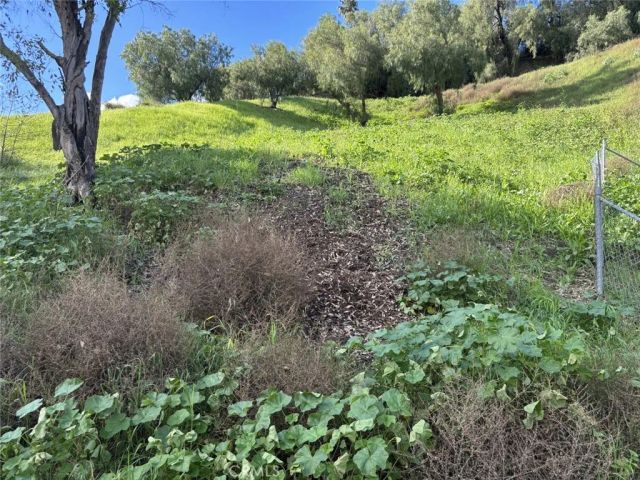 0 APN: 5217017024, Los Angeles, CA 90032