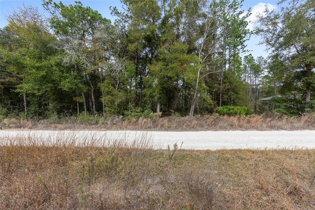 000 SW 28TH LANE, Ocala, FL 34481