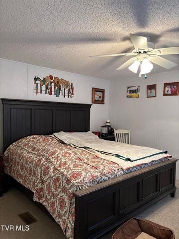 133 Mill Creek Road, Elizabethton, TN 37643