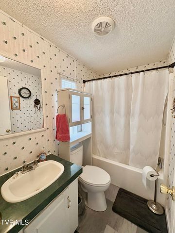 133 Mill Creek Road, Elizabethton, TN 37643