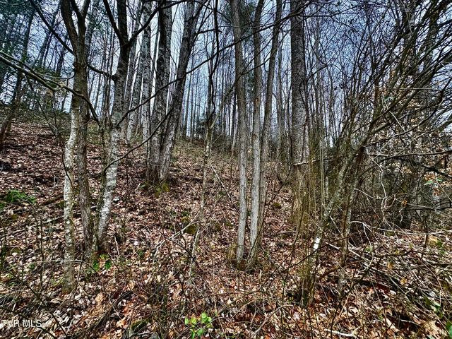 133 Mill Creek Road, Elizabethton, TN 37643