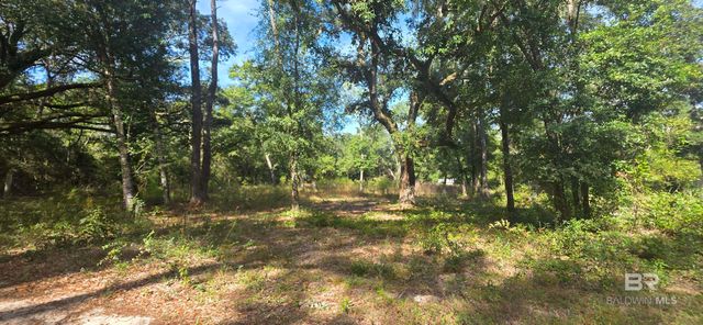 12540 3rd Avenue, Foley, AL 36535