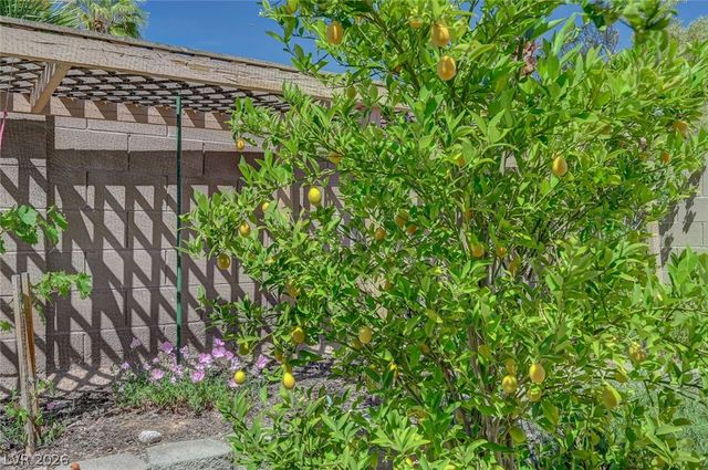 8738 Vista Cantera Court, Las Vegas, NV 89147