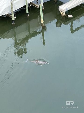 28250 Canal Road 908, Orange Beach, AL 36561