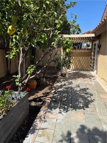 14 Avellino, Irvine, CA 92620