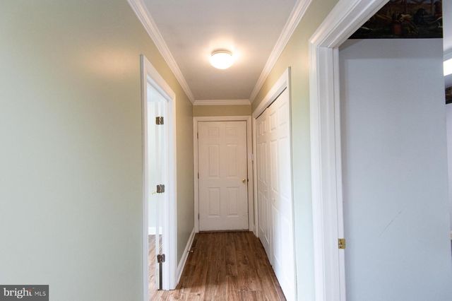 5403 PEACH TREE DR, Cambridge, MD 21613
