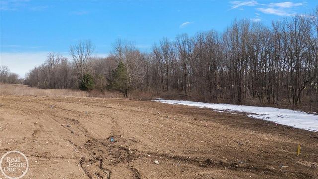 11182 Karen D Drive, Bruce Twp, MI 48065