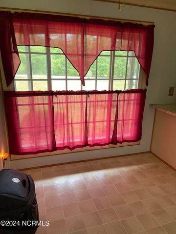 600 Mallard Drive, Roper, NC 27970