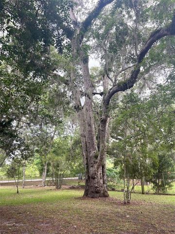 148 SE RIVERSIDE WEST DRIVE, Branford, FL 32008