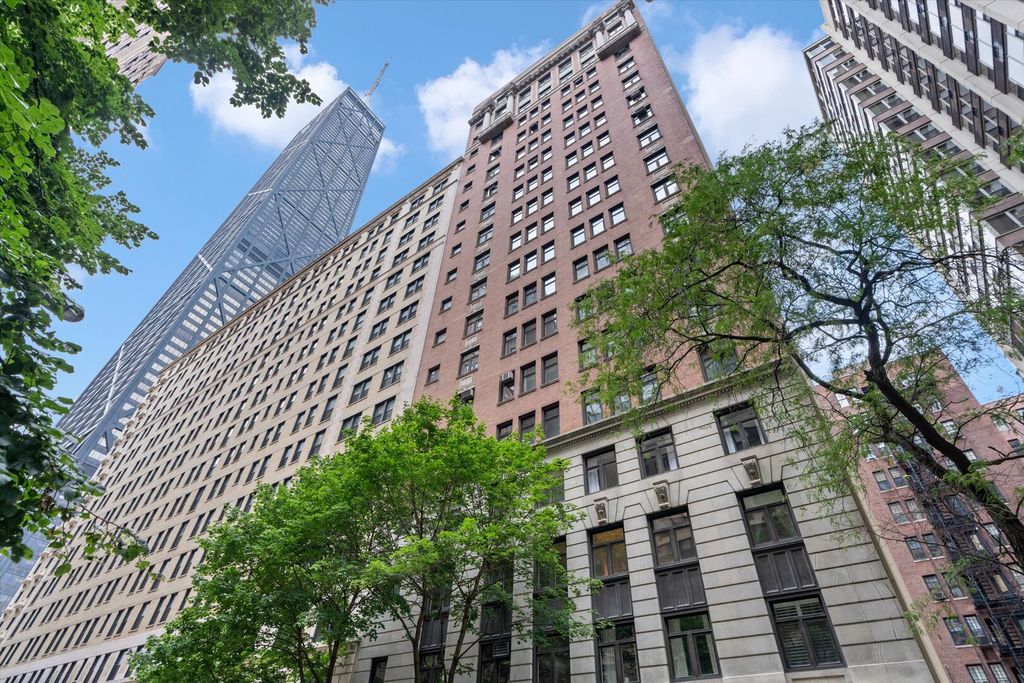 222 E Chestnut Street 6B, Chicago, IL 60611 — photo 2