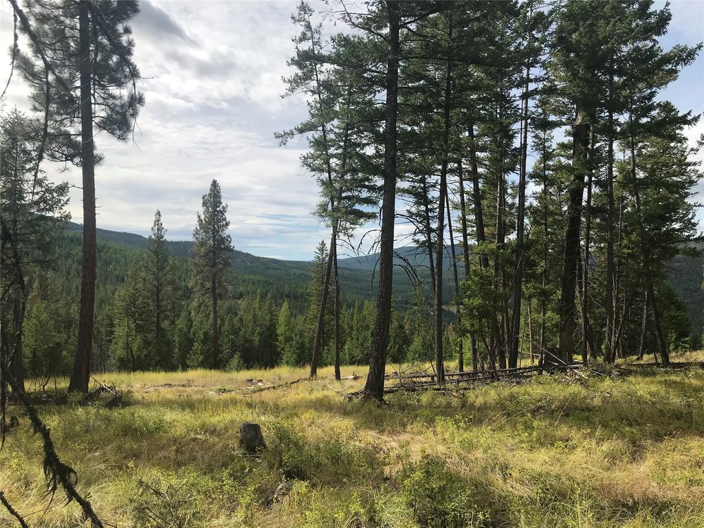 Nhh Whitetail Ridge, Kalispell, MT 59901 photo 12