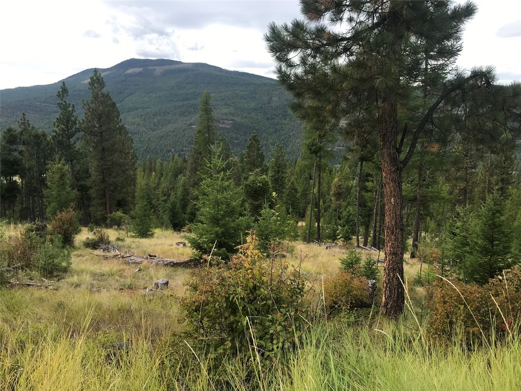 Nhh Whitetail Ridge, Kalispell, MT 59901 photo 13