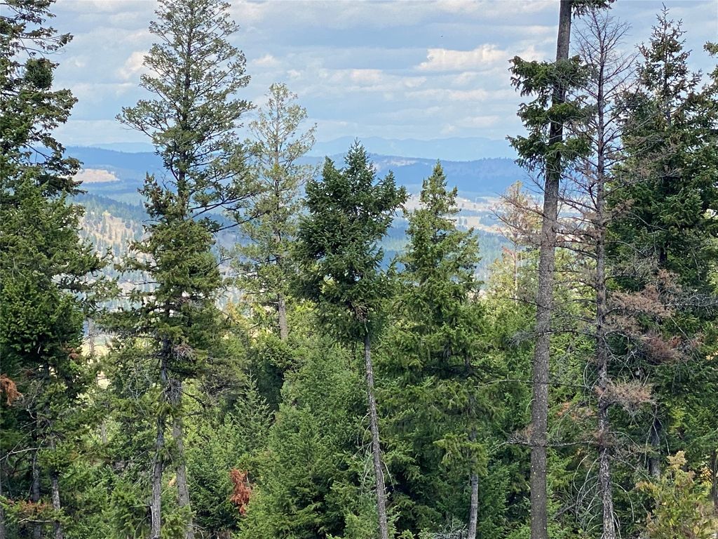 Nhh Whitetail Ridge, Kalispell, MT 59901 photo 7