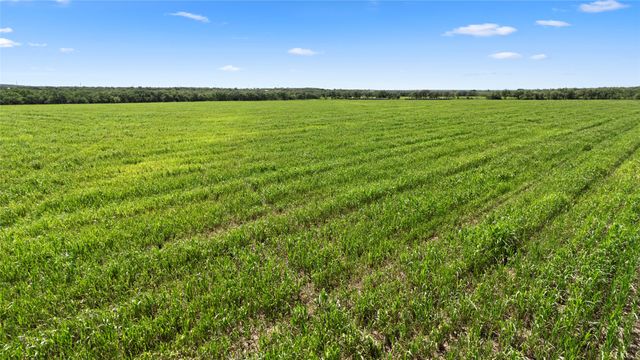 TBD 157.5 Acres County Road 302, Coleman, TX 76834