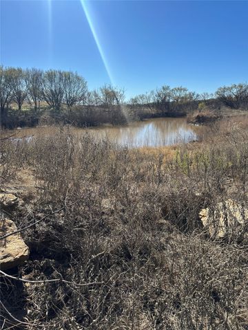 TBD 157.5 Acres County Road 302, Coleman, TX 76834