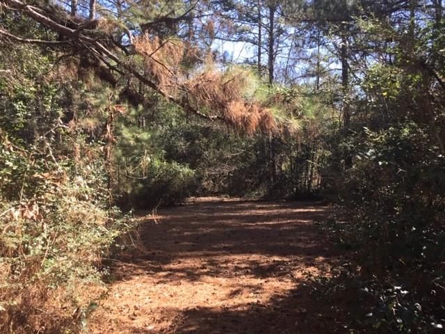 777 County Road 1100, Woodville, TX 75979