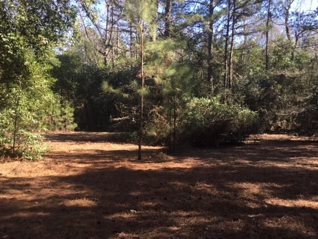 777 County Road 1100, Woodville, TX 75979