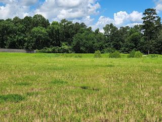 12855 Bentwood Farms Trace, Montgomery, TX 77356