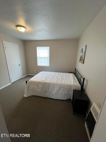 1116 Bob Armes Circle, Wartburg, TN 37887