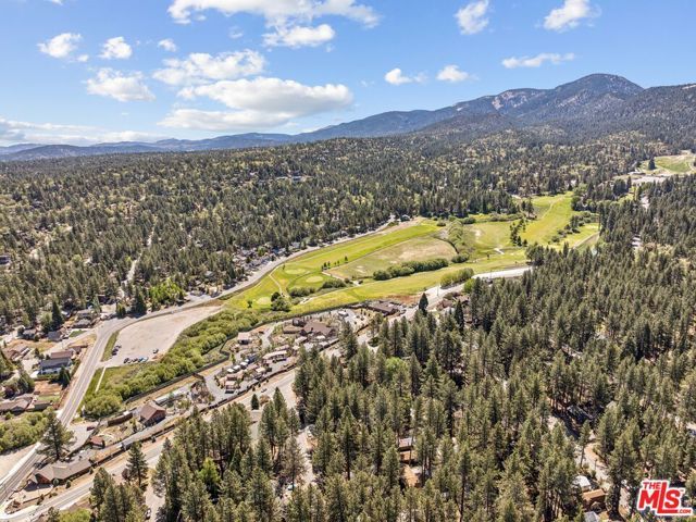675 Elm Street, Big Bear City, CA 92315
