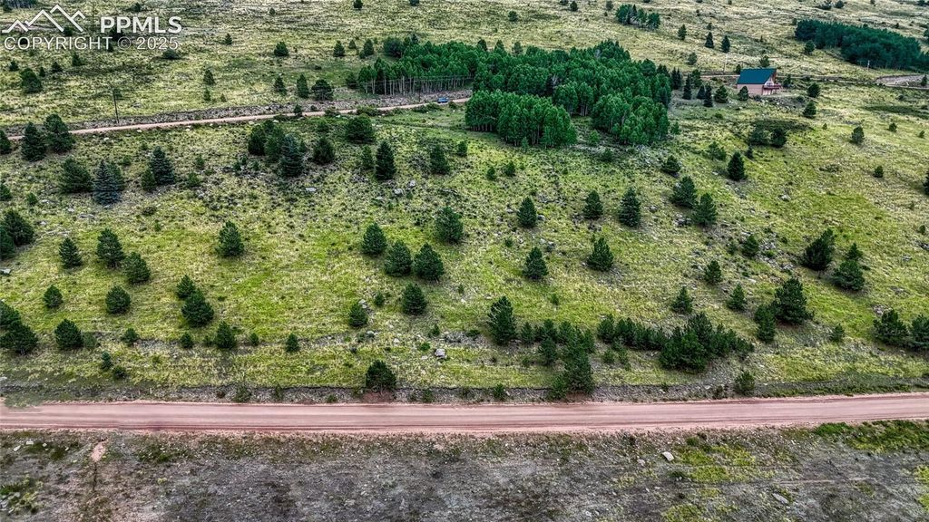 972 Anges Drive, Cripple Creek, CO 80813 — photo 2