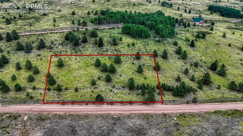 972 Anges Drive, Cripple Creek, CO 80813 — photo 3