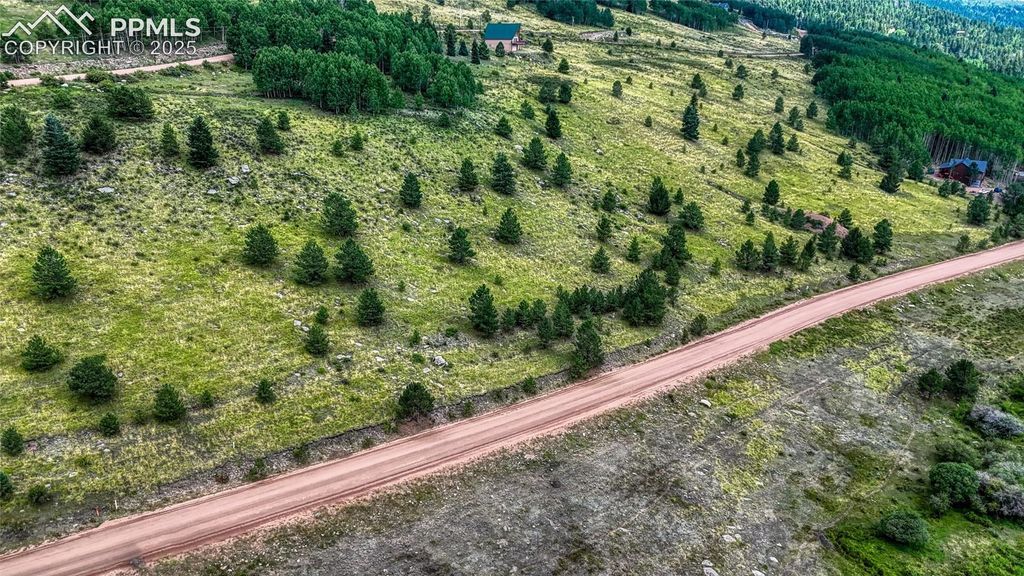 972 Anges Drive, Cripple Creek, CO 80813 — photo 4