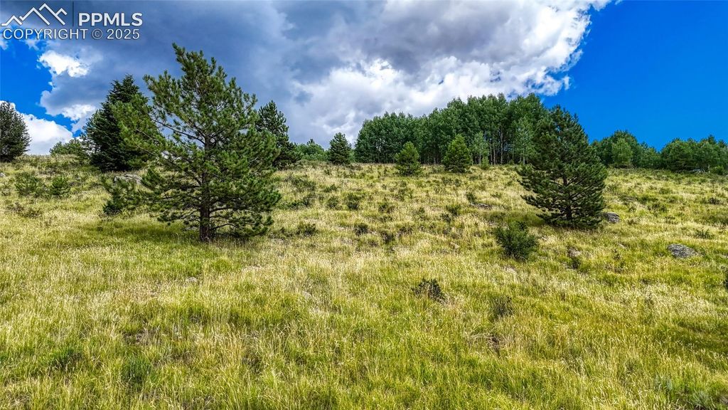 972 Anges Drive, Cripple Creek, CO 80813 — photo 5