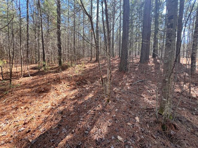 Lot 50 Deyton Drive, Blairsville, GA 30512