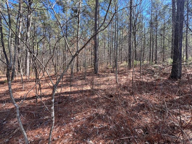 Lot 50 Deyton Drive, Blairsville, GA 30512