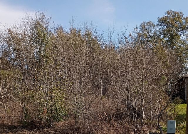 425 County Road 5041, Cleveland, TX 77327