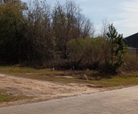 425 County Road 5041, Cleveland, TX 77327