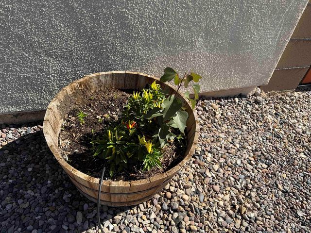 11742 S Gila St, Wellton, AZ 85356