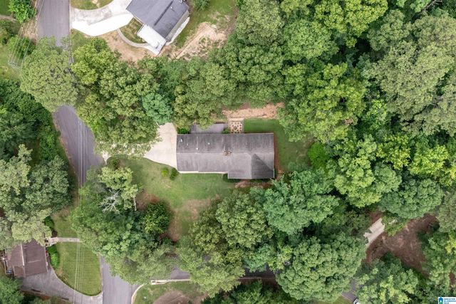 3752 CHESTNUT RIDGE CIRCLE, Vestavia Hills, AL 35216