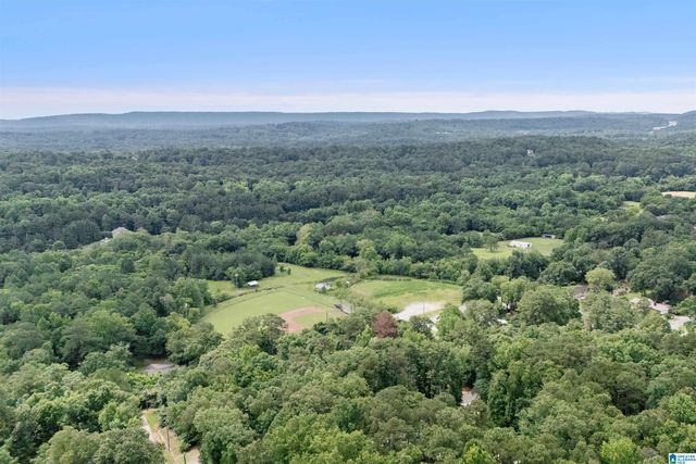 3752 CHESTNUT RIDGE CIRCLE, Vestavia Hills, AL 35216