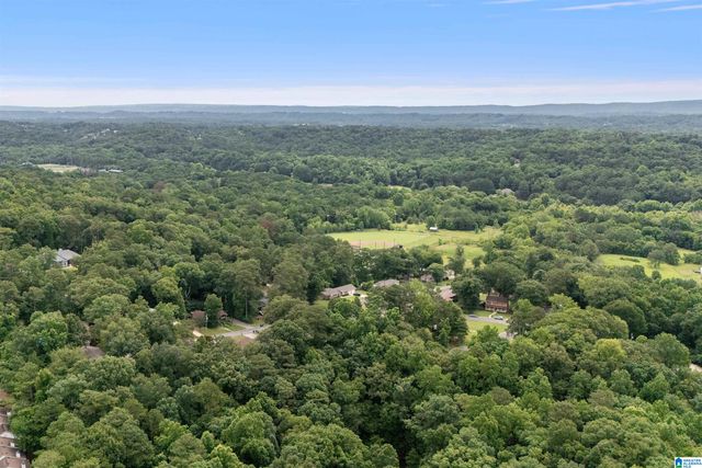 3752 CHESTNUT RIDGE CIRCLE, Vestavia Hills, AL 35216