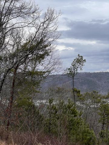 278 Carters Overlook Drive, Ranger, GA 30734