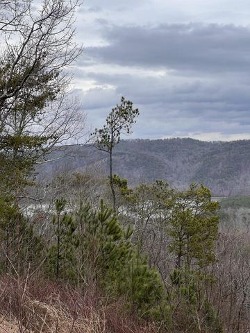 278 Carters Overlook Drive, Ranger, GA 30734