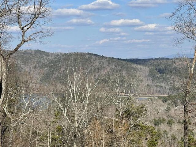 278 Carters Overlook Drive, Ranger, GA 30734