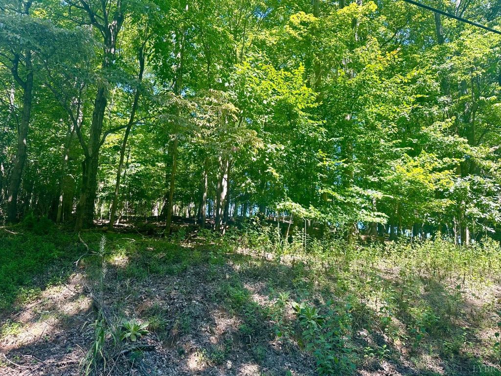 0 WHISPERWOOD Lane, Moneta, VA 24121
