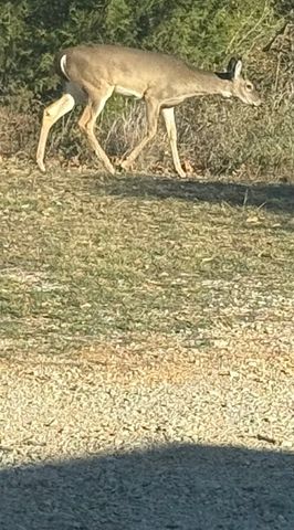 1010 W Moss Street, Eastland, TX 76448