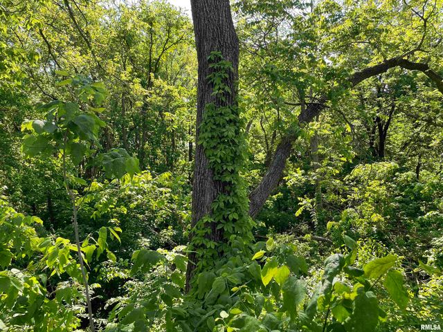 11207 22ND Street, Milan, IL 61264