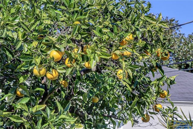 1428 Ocean Park, Santa Monica, CA 90405