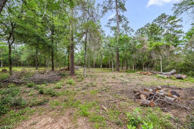 26020 Pine Shadows Drive, Hockley, TX 77447