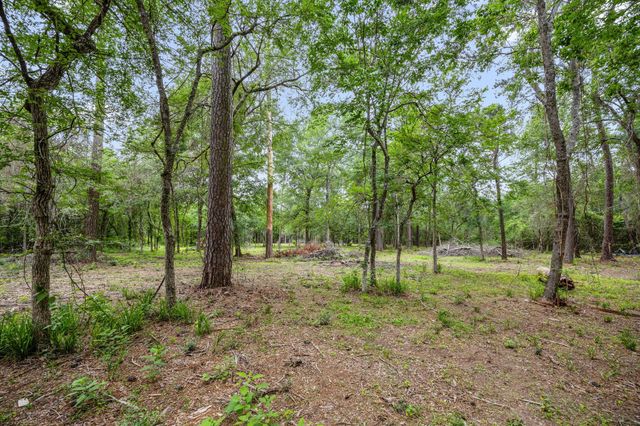 26020 Pine Shadows Drive, Hockley, TX 77447