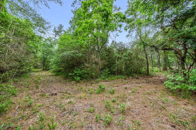 26020 Pine Shadows Drive, Hockley, TX 77447